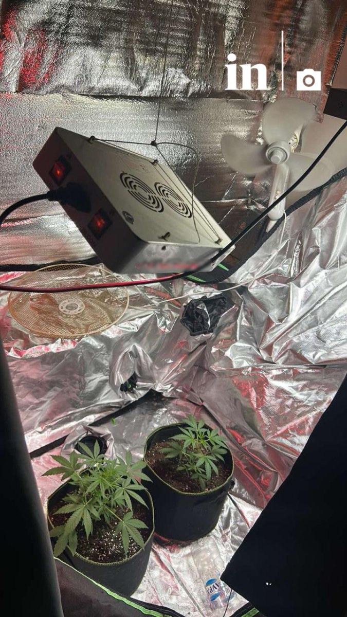 Ρόδος: Μεγάλη αστυνομική επιχείρηση για την εξάρθρωση κυκλώματος που καλλιεργούσε και διακινούσε κάνναβη - 4 συλλήψεις