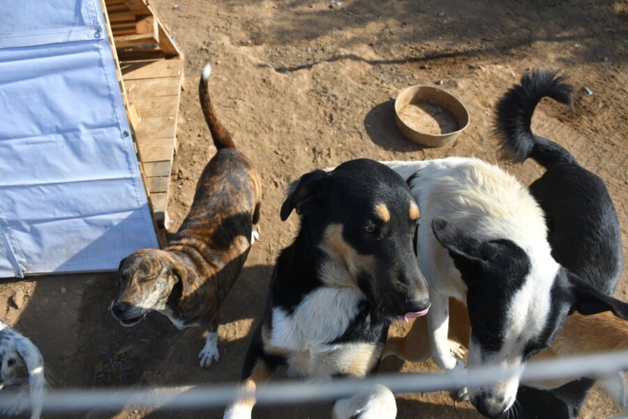 616190976-883204120967866-2808431518762015212-n