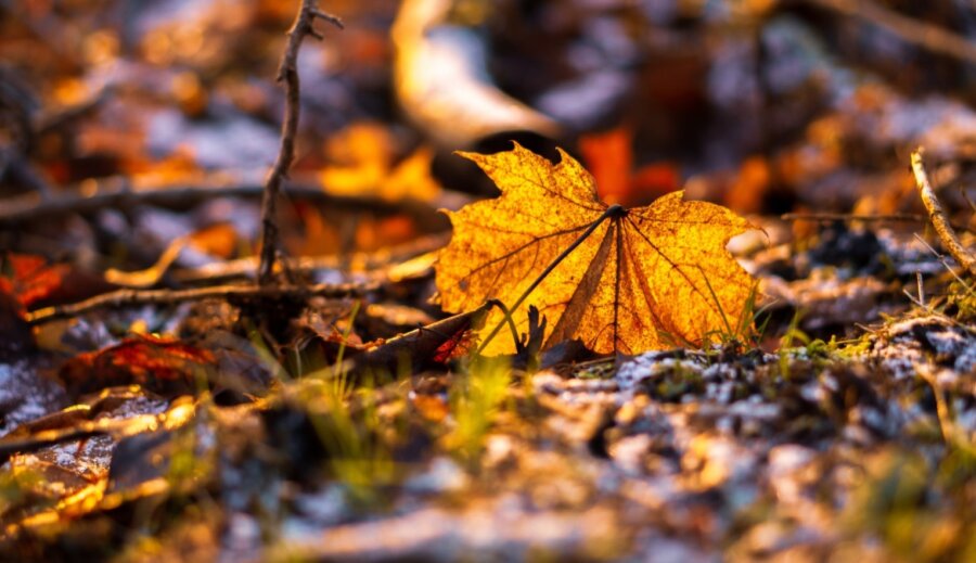 3 ζώδια που δυσκολεύονται να διαχειριστούν τον μουντό καιρό