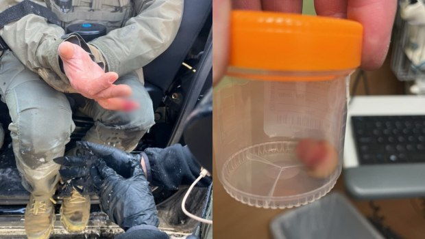 Μινεάπολη: Διαδηλωτές κατηγορούνται πως επιτέθηκαν σε πράκτορα - Ένας φέρεται να του δάγκωσε και του έκοψε το δάχτυλο