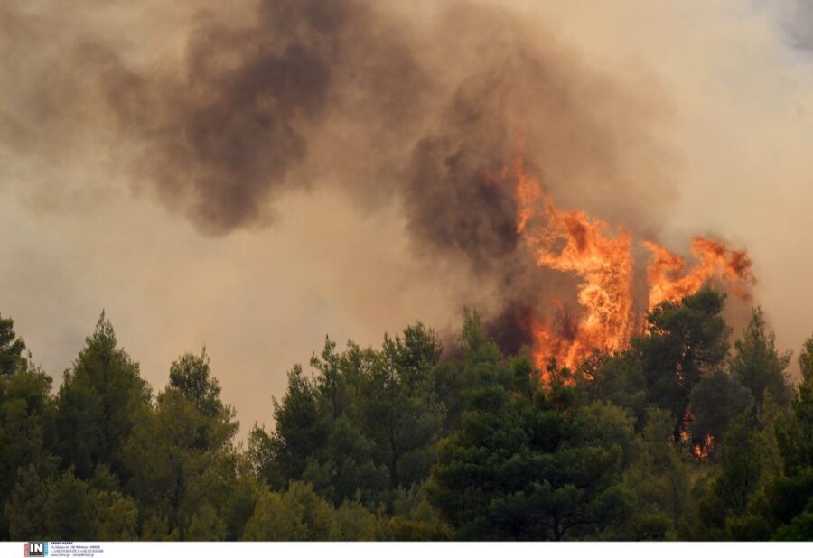 Δάσος σε πυρκαγιά