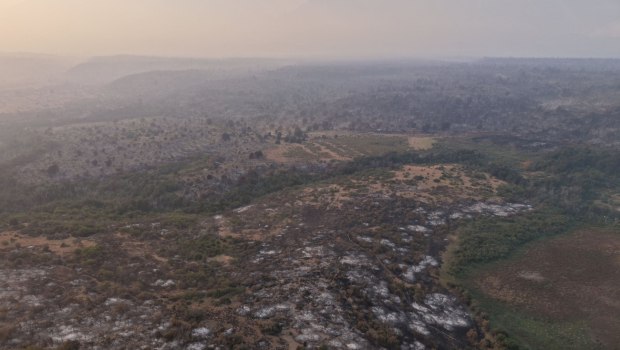 Αργεντινή: Μεγάλες δασικές πυρκαγιές στην Παταγονία - Η κυβέρνηση κηρύσσει κατάσταση έκτακτης ανάγκης