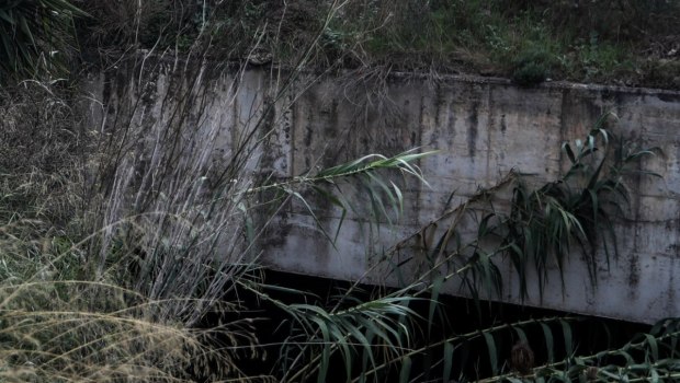 Δολοφονία 27χρονου στη Νέα Πέραμο: Τον εκτέλεσαν με δέκα πισώπλατους πυροβολισμούς