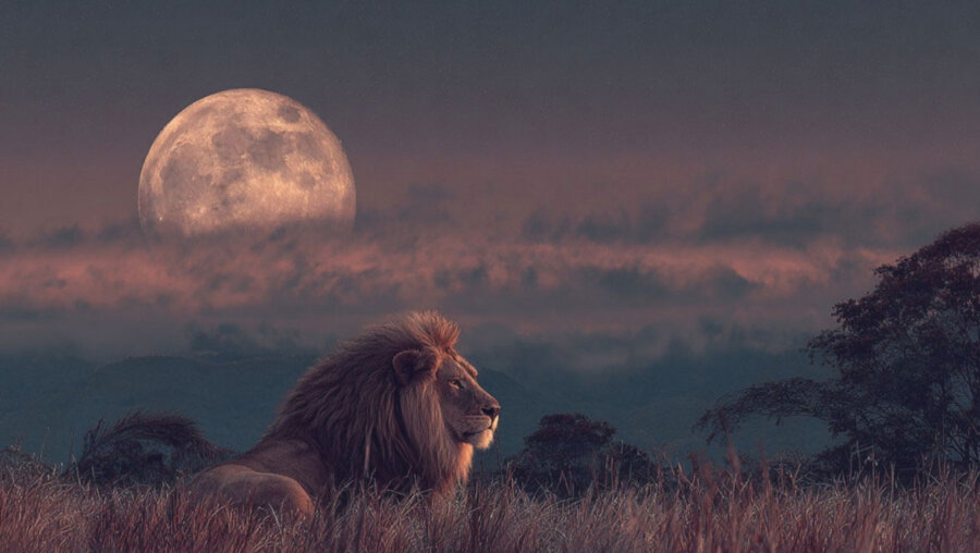 Τα ζώδια που θα έχουν απρόσμενες εξελίξεις την πρώτη εβδομάδα του Φεβρουαρίου