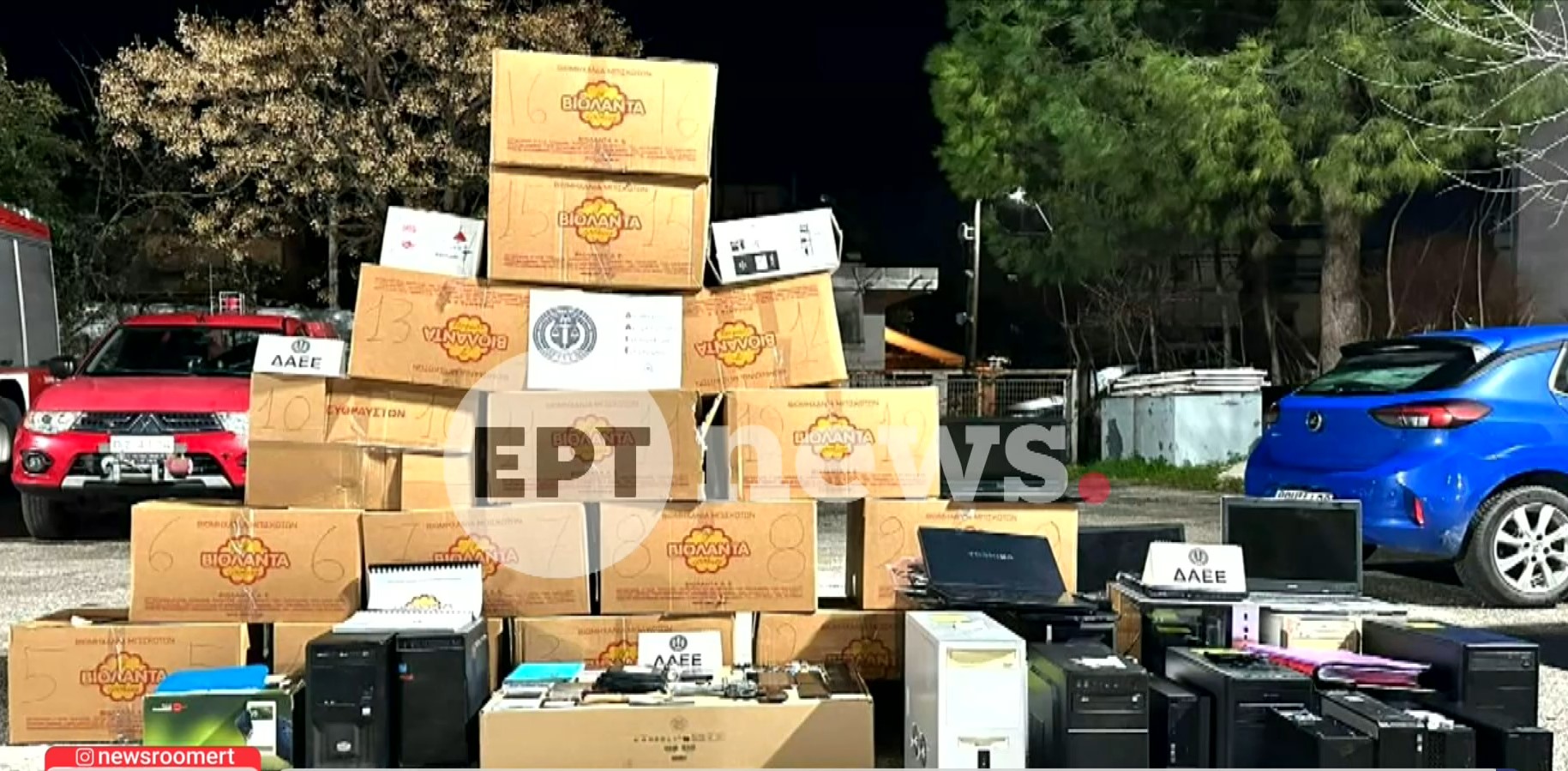 violanta-katasxesi-1