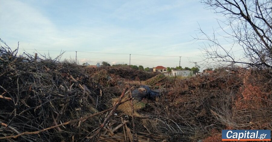 Τι αλλάζει φέτος με τους καθαρισμούς των οικοπέδων