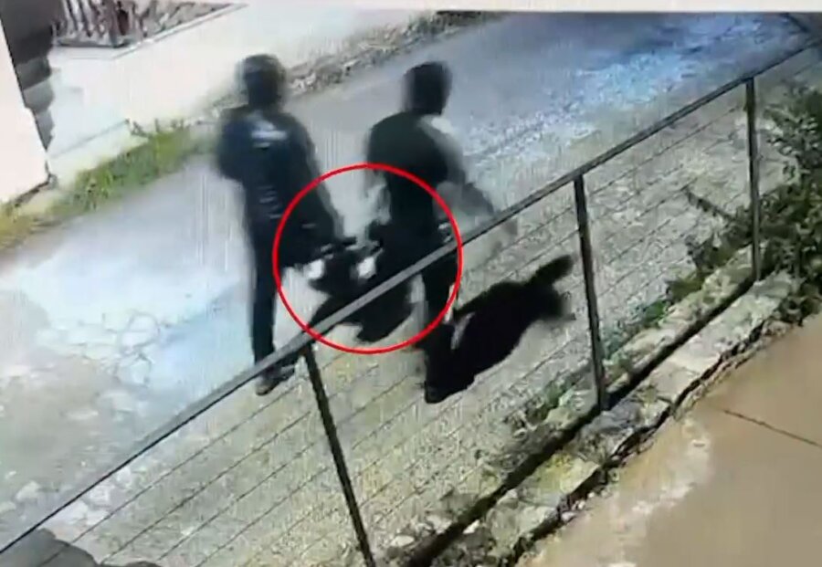 Χανιά: Σε κατ' οίκον περιορισμό οι συλληφθέντες για τον εμπρησμό με εντολή Ρώσου - Διαφώνησαν ανακρίτρια και εισαγγελέας