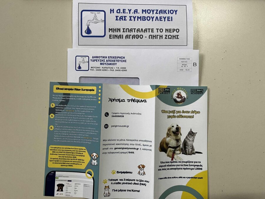 karditsa-mouzaki-zero-stray-pawject