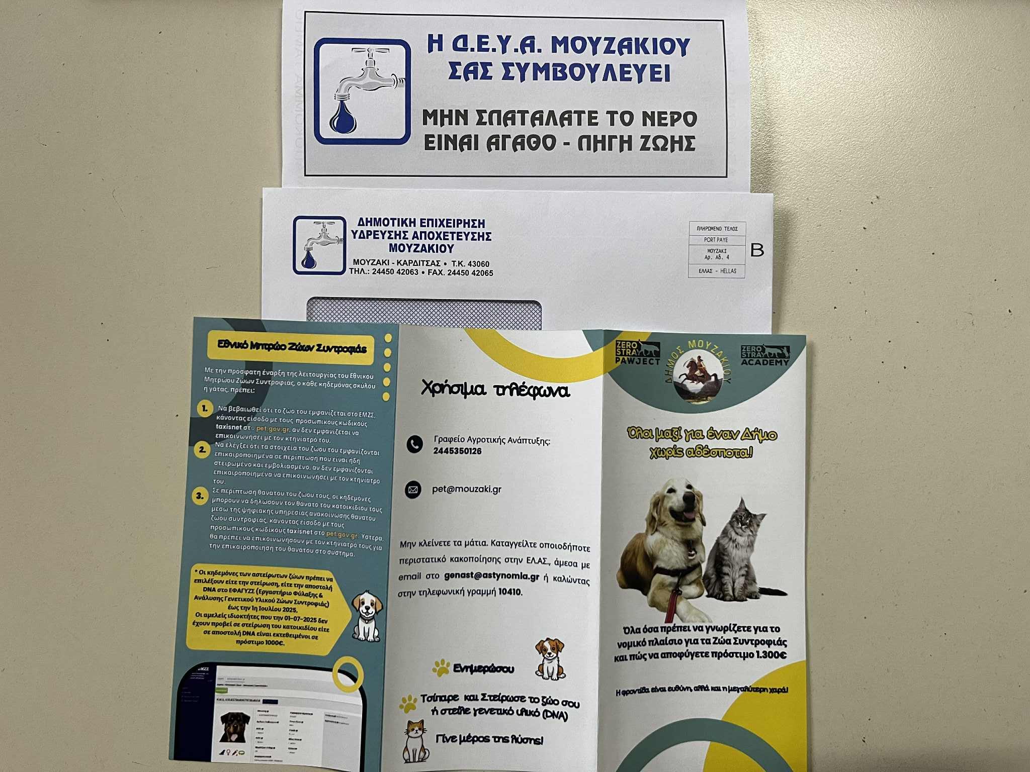 karditsa-mouzaki-zero-stray-pawject