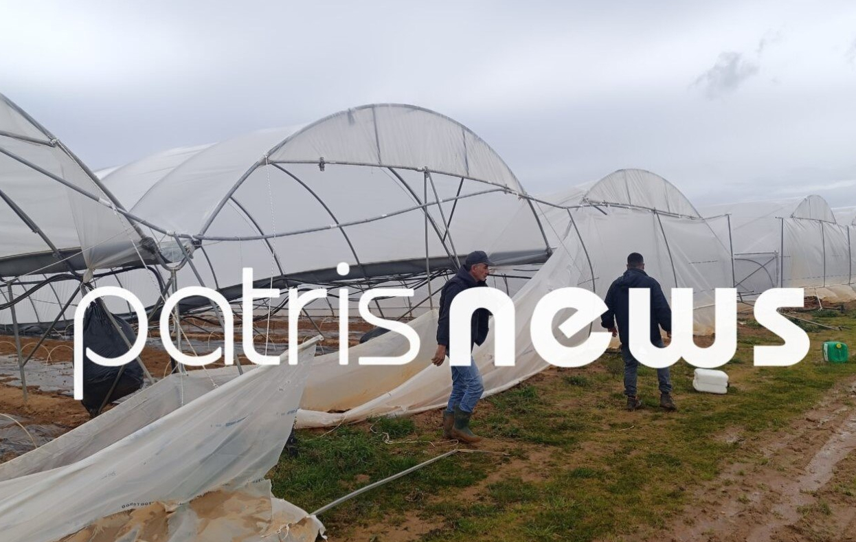 εικόνα που δείχνει τις εκτεταμένες ζημιές στα θερμοκήπια παραγωγής καρπουζιού στο Μπόρσι