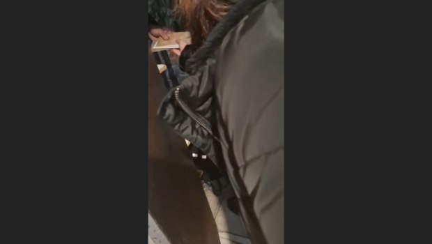 ΑΑΔΕ: Βίντεο από τις έρευνες για το κύκλωμα «αχυρανθρώπων» που υπεξαίρεσαν 43 εκατ. ευρώ από το Δημόσιo