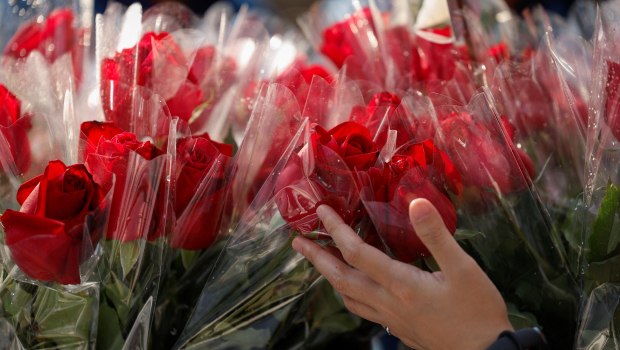 ΕΕ: «Τίποτα δεν εκφράζει την αγάπη όπως τα... χημικά» - Τα τριαντάφυλλα του Αγίου Βαλεντίνου συχνά καλύπτονται με φυτοφάρμακα