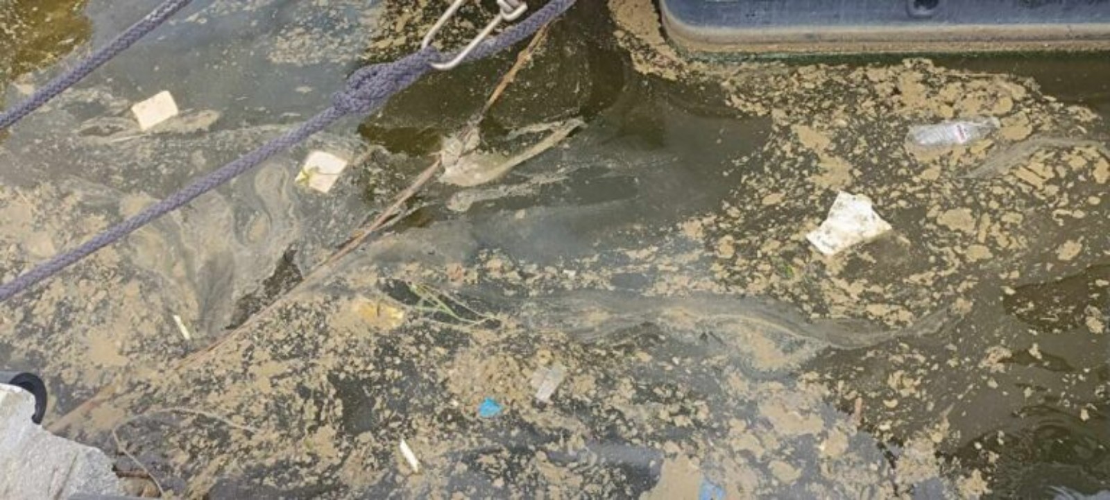 1-12-768x346-copy-1600x721