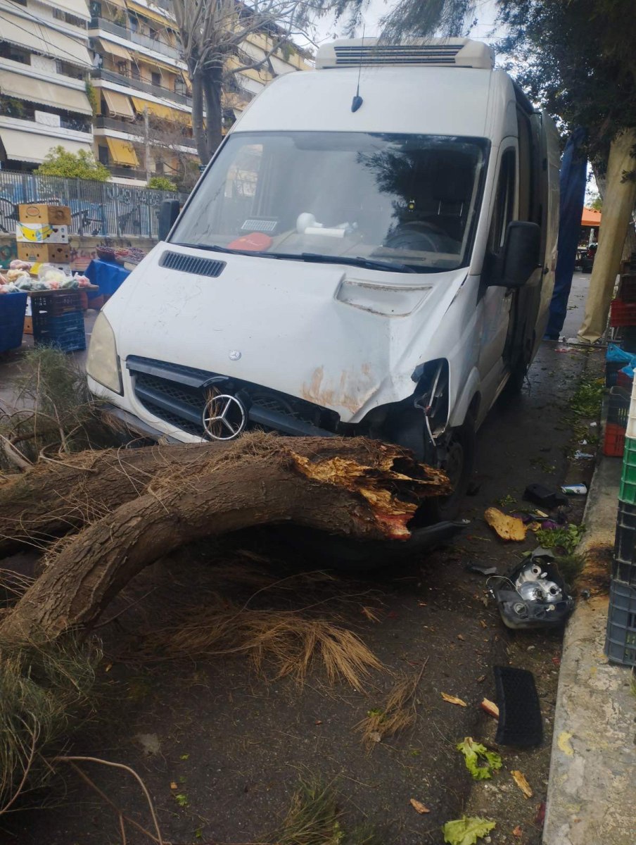 Μεγάλο δέντρο έπεσε σε πάγκους λαϊκής αγοράς στο Φάληρο - Από τύχη δεν υπήρξε τραυματισμός