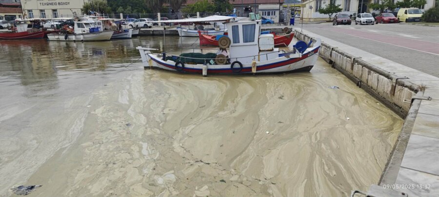 97a7bc31-3a8f-49bb-a436-27ee98b6da41