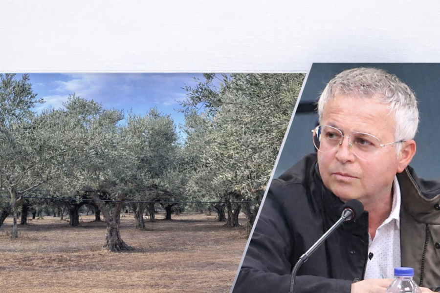 91df6823-8efc-49bf-903e-fb54f4051bb0