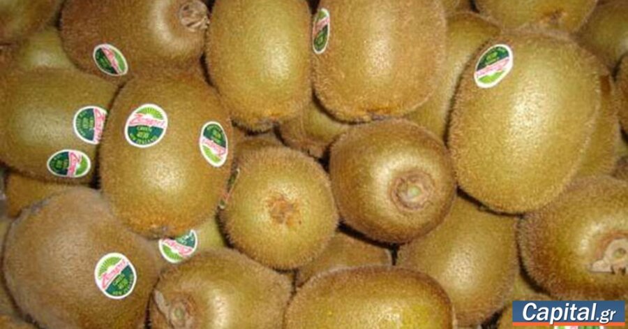 Το ακτινίδιο ενισχύει τη θέση του στις παγκόσμιες αγορές και ταξιδεύει στο...