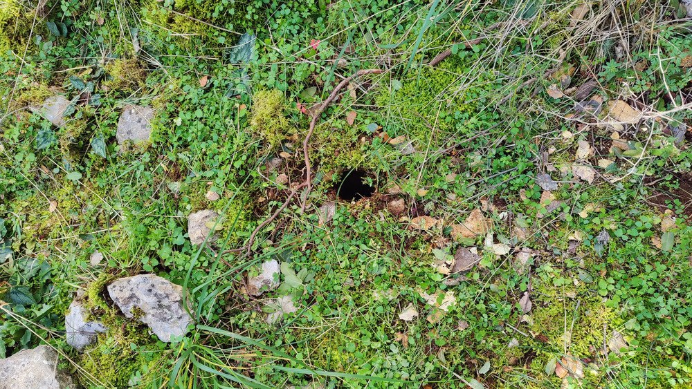 Τρεις συλλήψεις αρχαιοκάπηλων στη Θεσσαλονίκη - Πώς δρούσε η εγκληματική οργάνωση