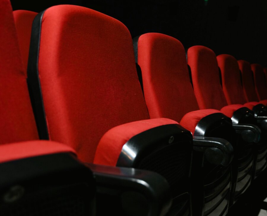 pexels-tima-miroshnichenko-7991127