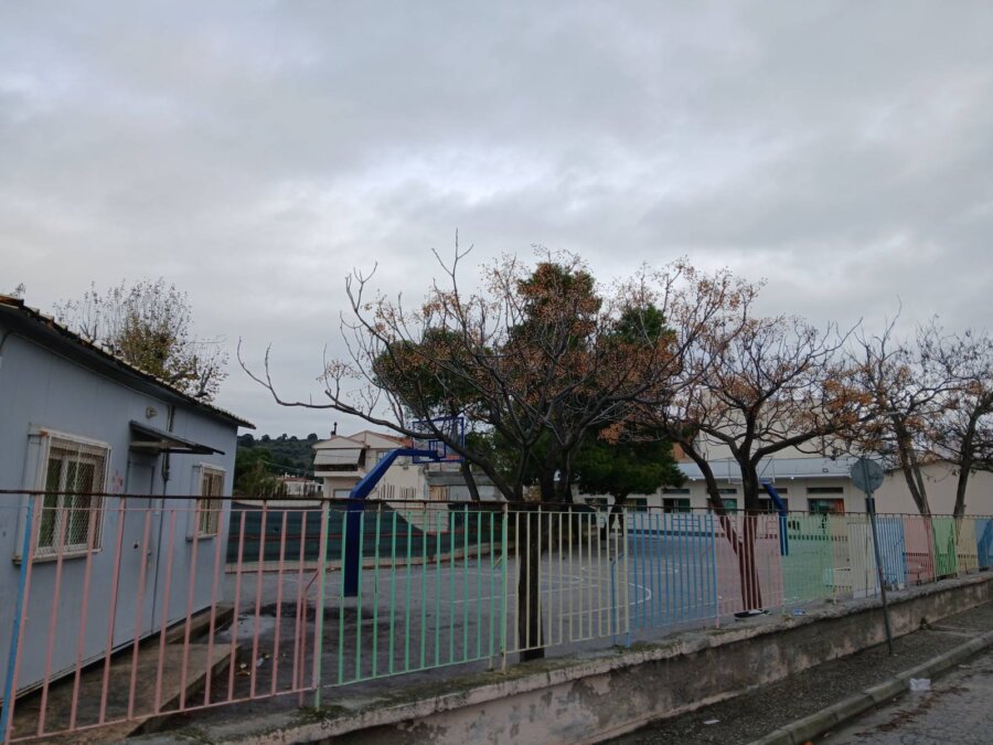 img-27faca54bc32c1e778929ce883f79ace-v