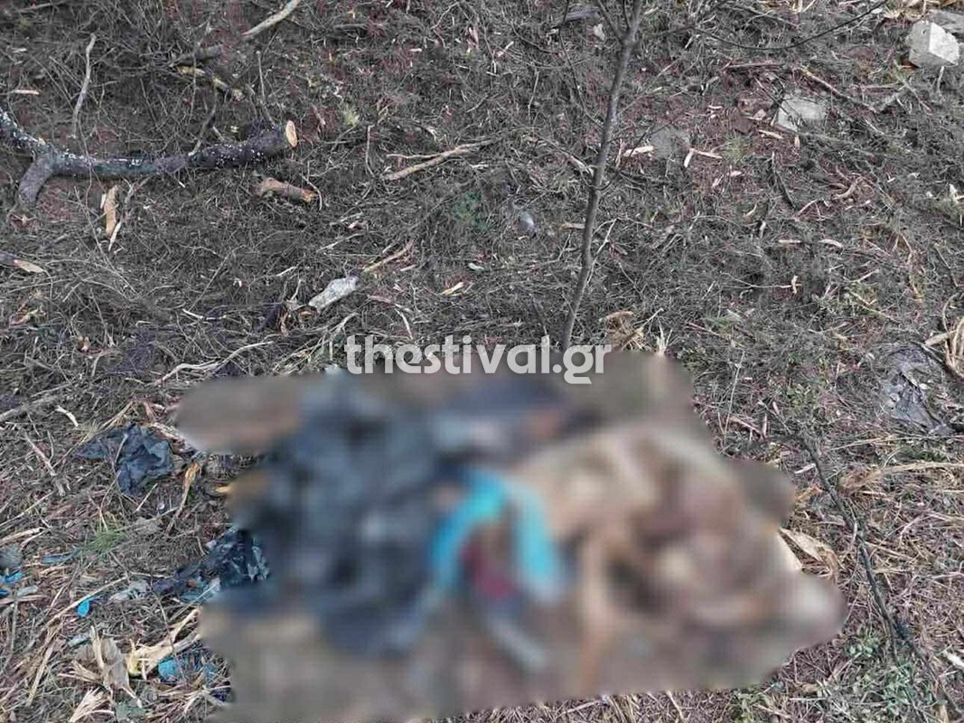 Θρίλερ στη Χαλκιδική: Χωρίς κεφάλι η σορός που βρέθηκε σε σακούλες - Τι λέει ο πρόεδρος του Πευκοχωρίου