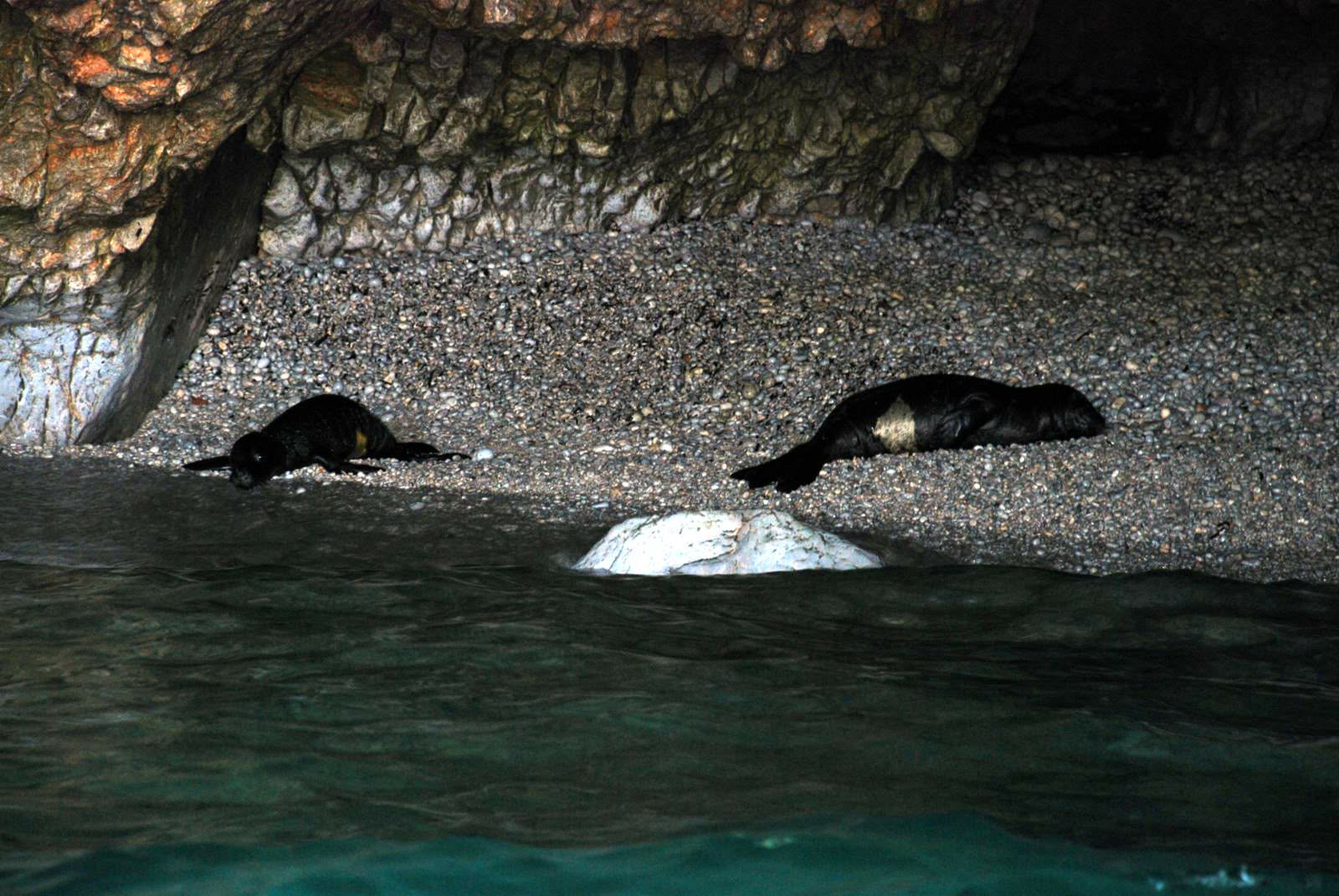 89017d78-7d82-4e62-9b5c-3132e426080c