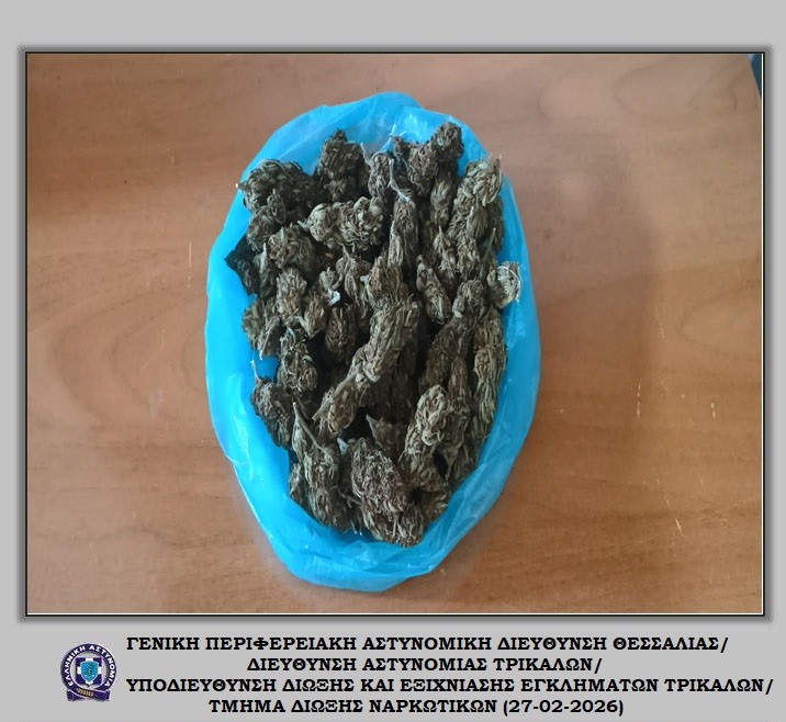 xasis-trikala-sakoula