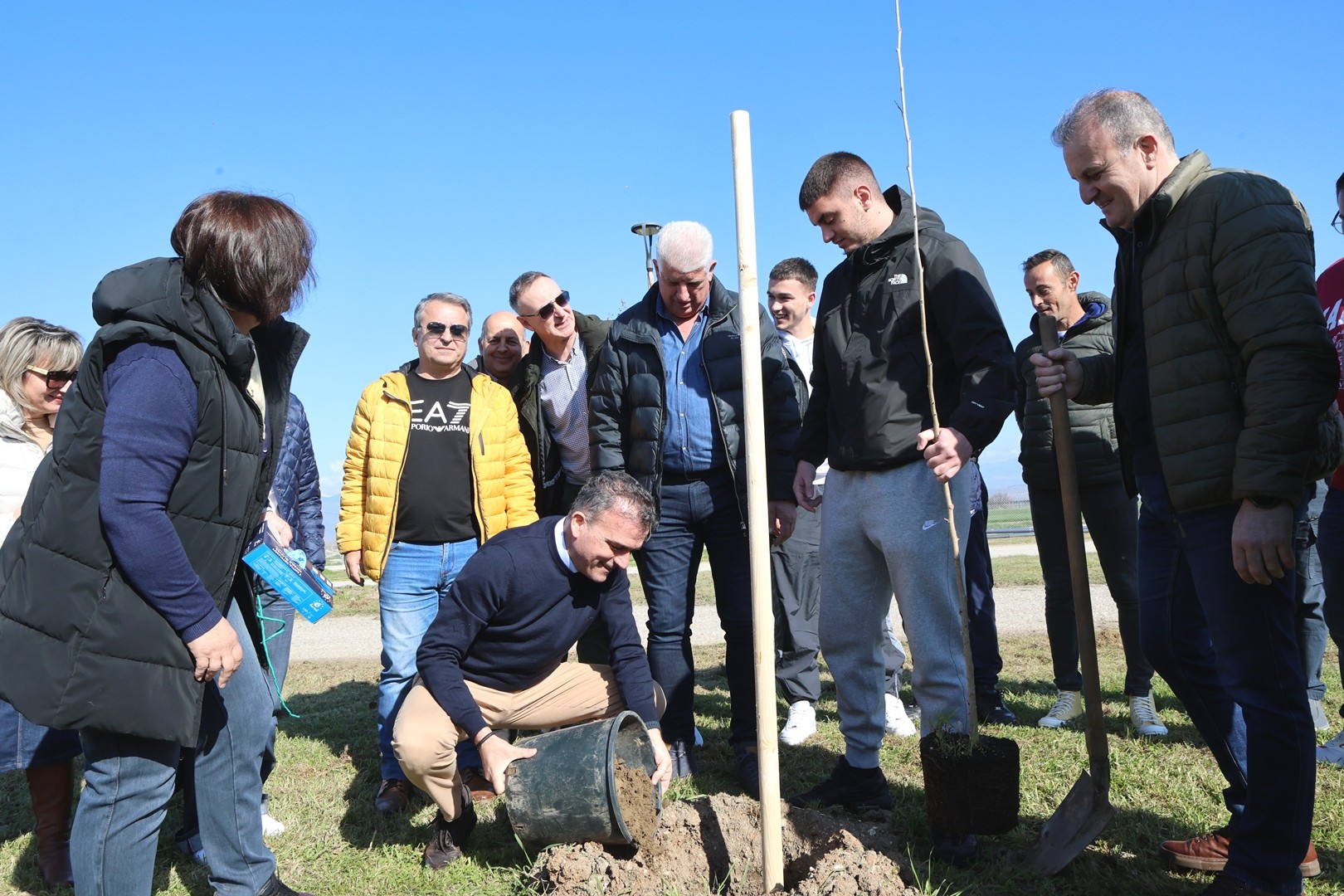 dendrofiteusi-falani