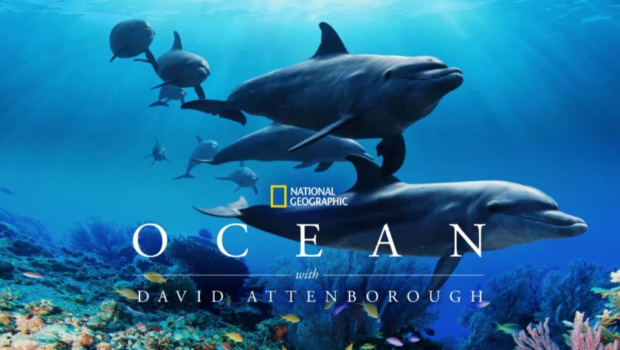 ΕΚΚΟΜΕΔ: Ενίσχυση πρωτοβουλιών κοινωνικής και περιβαλλοντικής ευαισθητοποίησης μέσω του οπτικοακουστικού τομέα