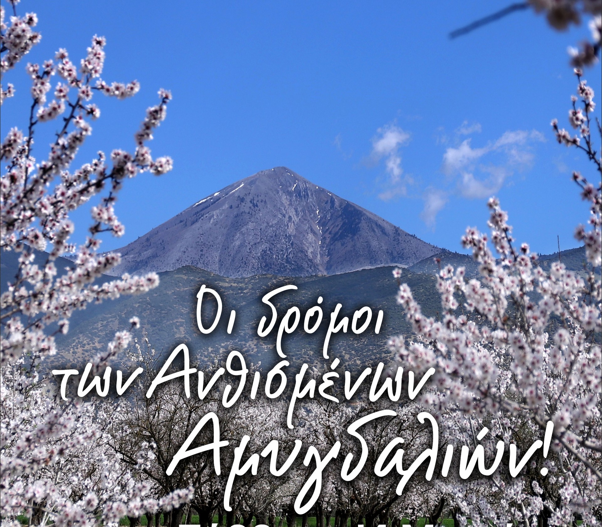 amigdalies-antismenes-tembi