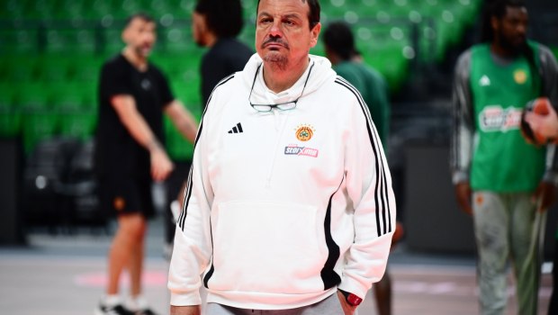 Επιστήμονες έφτιαξαν μέλι σοκολάτας φουλ στα αντιοξειδωτικά