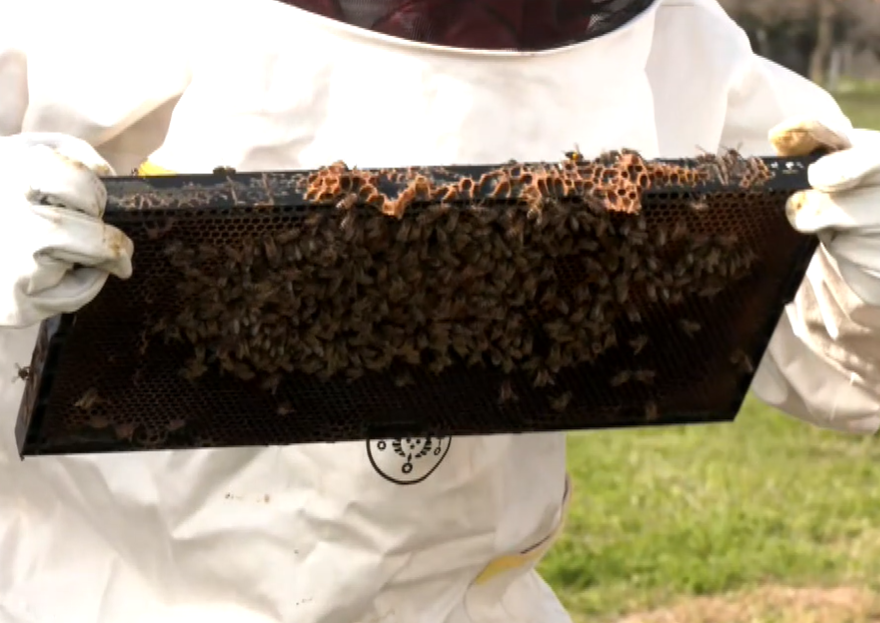 stigmiotypo-othonis-2026-03-09-142920