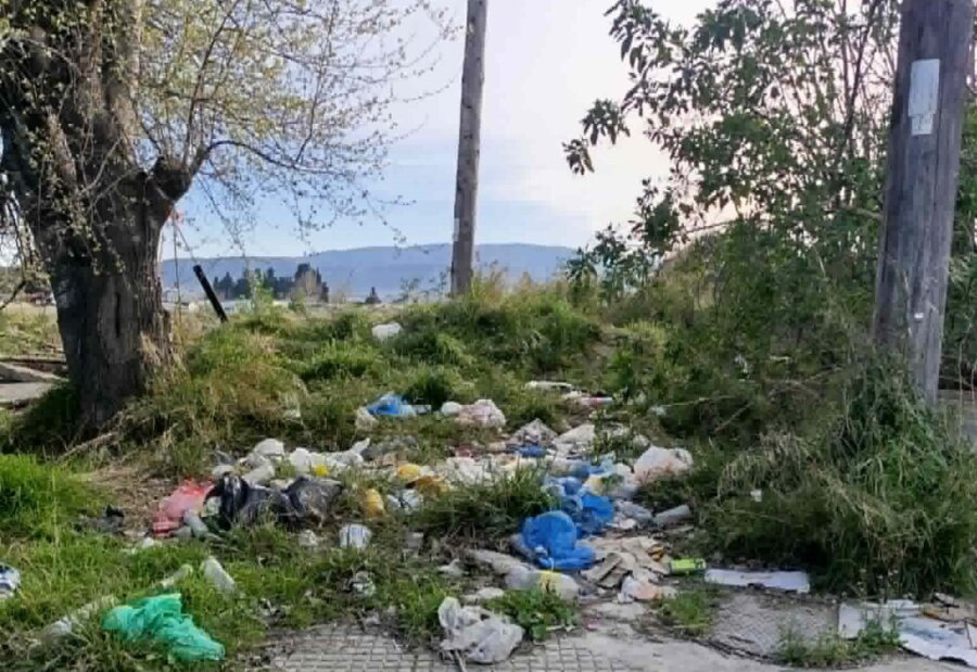 f9eff6e7-f2c6-4908-a8bb-550ebafa06e6-copy-1280x880