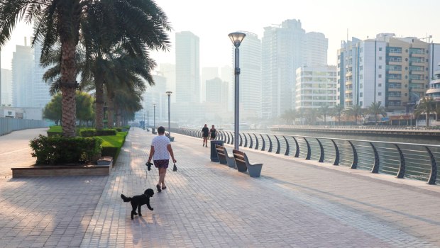 Ειδική πτήση επαναπατρισμού για Έλληνες πολίτες με κατοικίδια