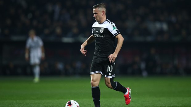 Φυτικές ίνες: Πέρα από την πέψη, το «μυστικό» τους που οι περισσότεροι αγνοούν