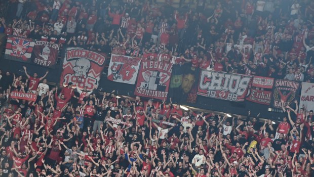 Φυτικές ίνες: Πέρα από την πέψη, το «μυστικό» τους που οι περισσότεροι αγνοούν