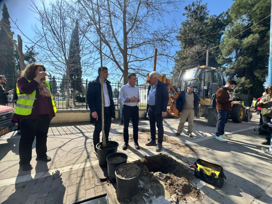 ioanninon-dentrofyteysi-1