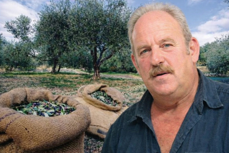 file-00000000be70724693ad99d48dad87f8