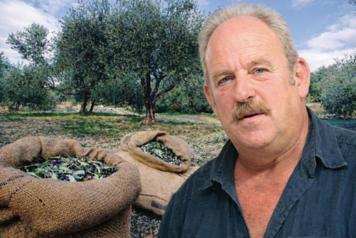 file-00000000be70724693ad99d48dad87f8