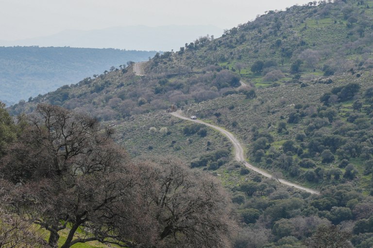 ΠΑΣΟΚ: Απέτυχε το υπουργείο Αγροτικής Ανάπτυξης - Η κυβέρνηση αφήνει απροστάτευτη την ελληνική κτηνοτροφία