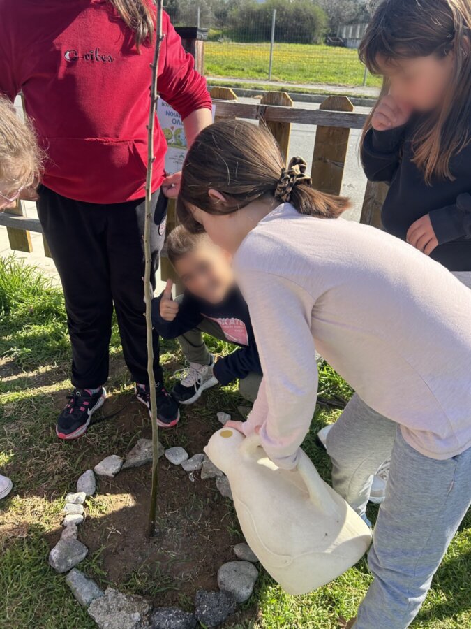 mathites-dentrofyteysi