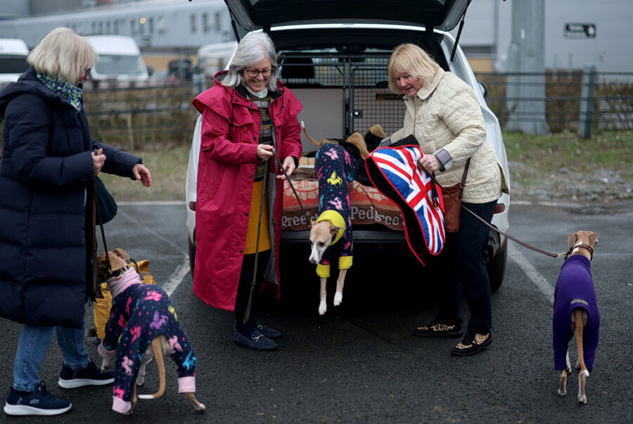 Βαριά πρόστιμα χωρίς όριο και αυστηρότερα μέτρα για επιθέσεις σκύλων σε ζώα εκτροφής
