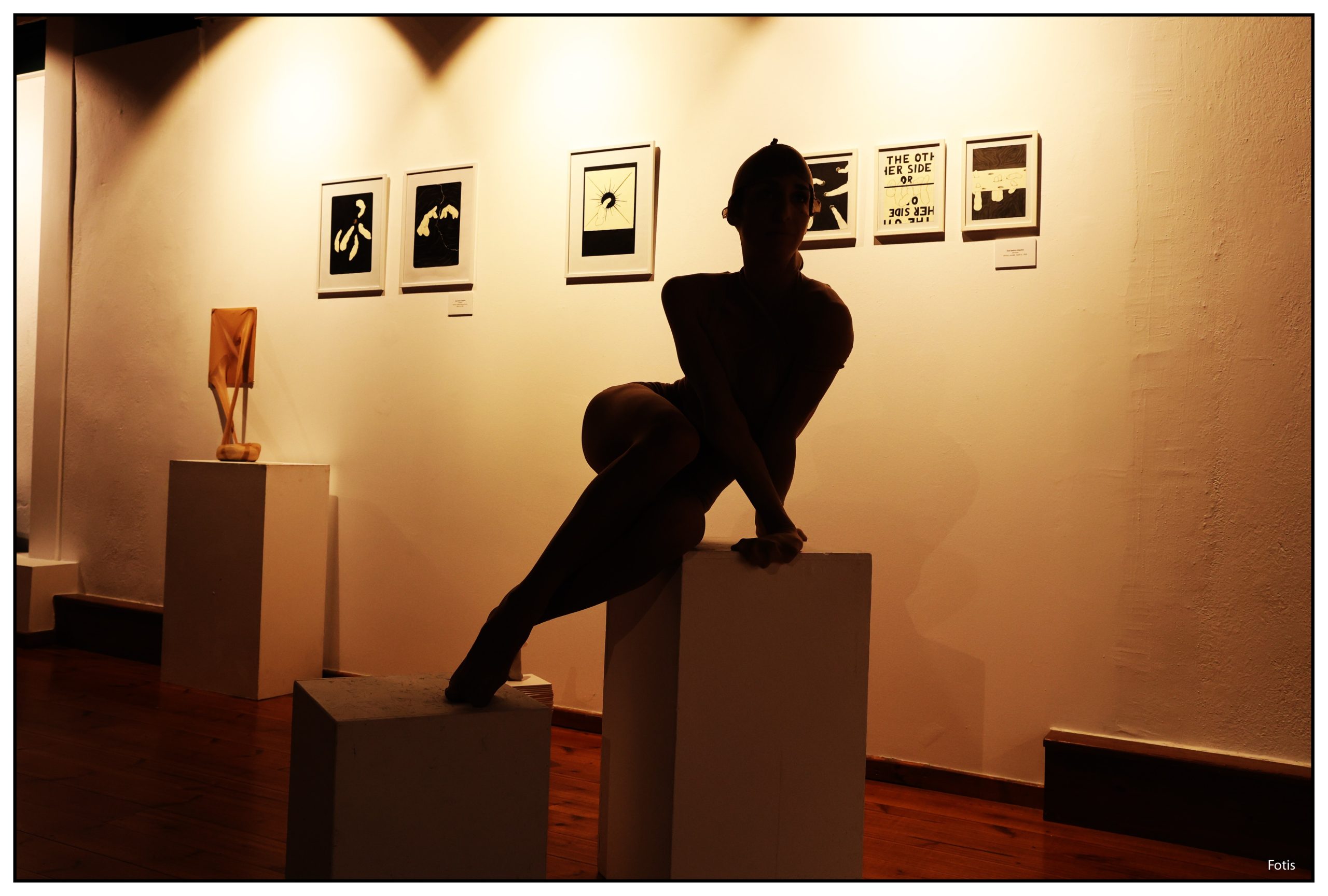 festival-open-nights