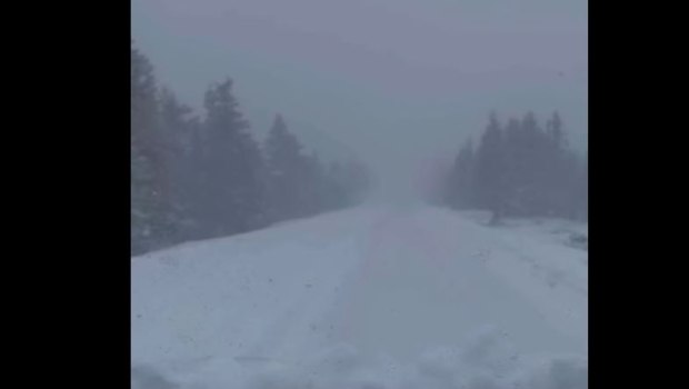 Καλάβρυτα: Επιχείρηση απεγκλωβισμού οδηγών λόγω έντονης χιονόπτωσης - Χιονοθύελλα στο χιονοδρομικό κέντρο