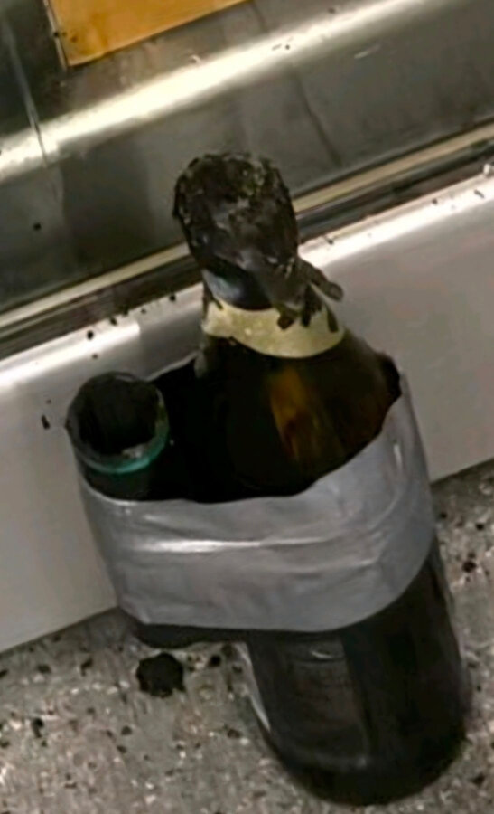 Κρήτη: Τοποθέτησαν αυτοσχέδιο εκρηκτικό μηχανισμό σε καφετέρια στο Ηράκλειο