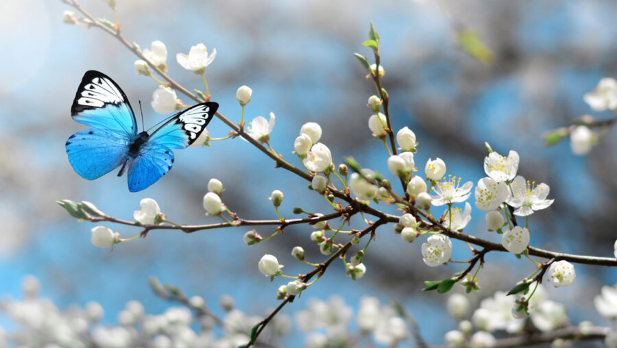 Τα 4 ζώδια που θα πρωταγωνιστήσουν στις εξελίξεις τον Απρίλιο