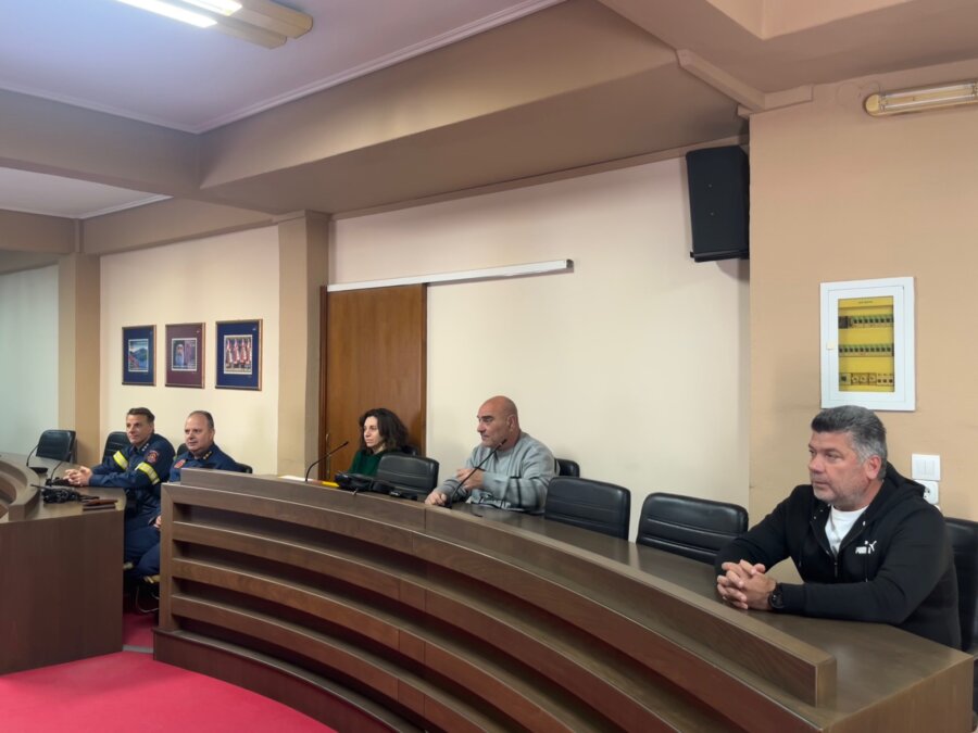 syskepsi mouzaki erminio