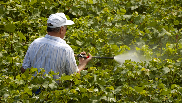 Φυτοφάρμακα και καρκίνος - Ακόμα και 150% υψηλότερος κίνδυνος για τους πληθυσμούς που εκτίθενται σε αυτά