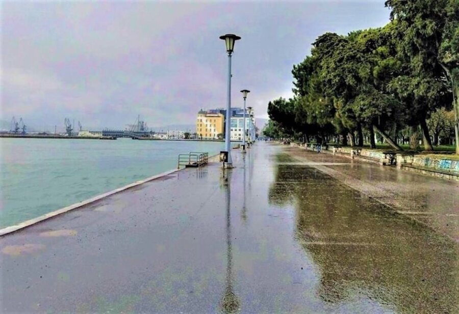 76705117-2462557830508664-8822623073850097664-n