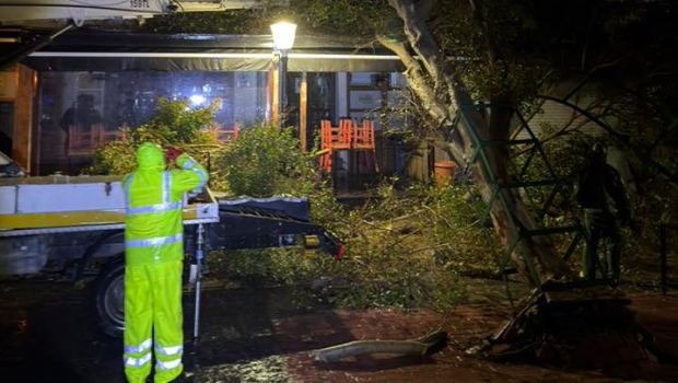 Δύσκολη η νύχτα στα Δωδεκάνησα λόγω κακοκαιρίας - Θυελλώδεις άνεμοι, πτώσεις δέντρων και προβλήματα στις μεταφορές